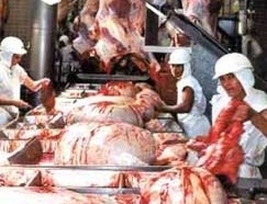 Plantas localizadas em Pedra Preta e Paranatinga est�o embargadas 