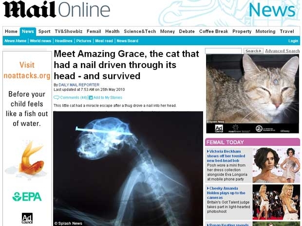 Grace foi encontrado vivo, andando com o prego na cabea