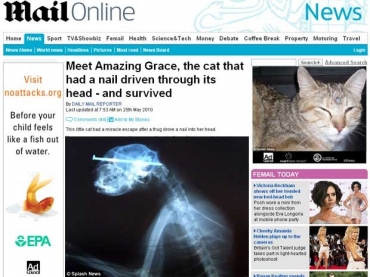 Grace foi encontrado vivo, andando com o prego na cabea 