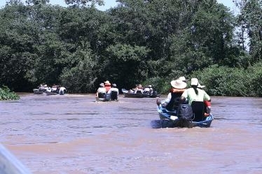 Pantanal mato-grossense