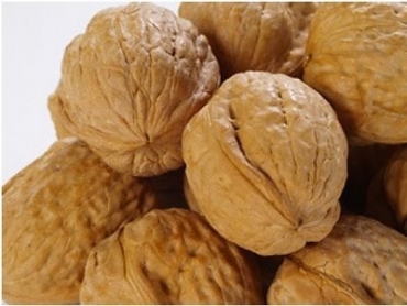 Comer nozes ajuda a reduzir colesterol