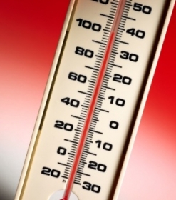 Os termmetros no txicos custavam mais que o dobro que os termmetros de mercrio.