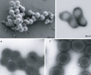 Nova tcnica pode facilitar produo de vacinas e tratamento de gua