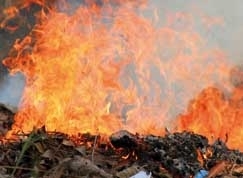 Em VG, fogo pode ter sido provocado por bituca de cigarro. Outro incndio consumiu lixo em terreno