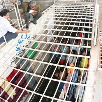 Agentes ficam desfilando sempre com os olhos voltados para baixo, vigiando os presos.