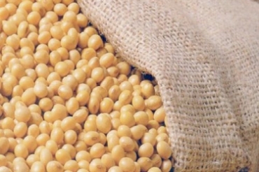 �Mercado justo� dever� acelerar compras em busca das melhores variedades