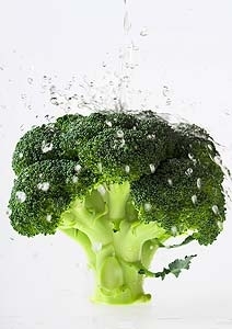 Estudo no foi testado com seres humanos