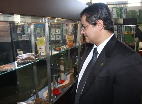 produtiva da cana-de-acar colocar o Brasil em destaque na produo de etanol.