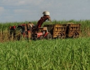 Com logstica deficitria e baixo consumo interno, a produo em excedente de lcool ou acar no estimula usineiros