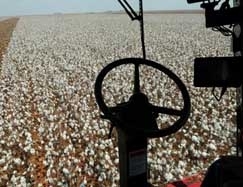 Prazo concedido aos norte-americanos visa concretizar fundo para fomento de pesquisas no Brasil e at� mesmo na �frica 