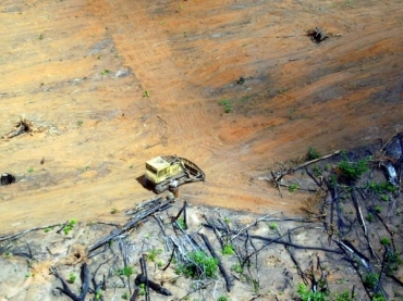 Ibama, que est em greve h duas semanas, paralisou 60 operaes em todo pas, uma em Mato Grosso, a 