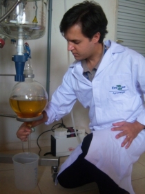 Cientistas da Embrapa Agroenergia j� utilizam no reator o �lcool et�lico o �leo de pinh�o-manso para produzir biodiesel.