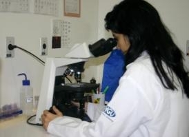 Laboratrio de Histocompatibilidade contribuir para a agilidade dos transplantes em MT 
