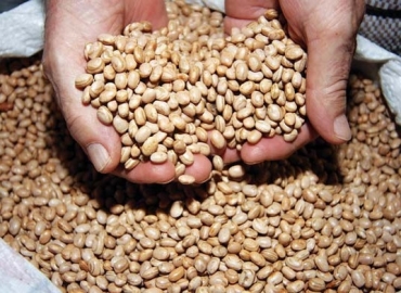 Alguns marcas do produto tiveram majora��o de at� 66% nos �ltimos meses assustando as pessoas no momento da compra 