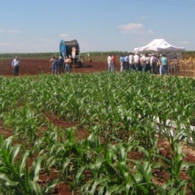 Dia de Campo: expanso para o pas 