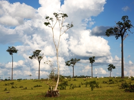 aquecimento causa escassez de gua que afetar 77 milhes de pessoas na Amrica Latina e no Caribe em 2020