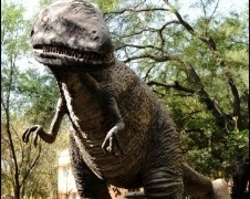 Principais rivais dos dinossauros teriam sido extintos por atividade vulcnica