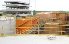 Soja  a principal matria-prima usada na produo nas usinas estaduais