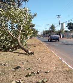 Acidente fatal acontece nas proximidades do Parque de Exposies de Cuiab, no bairro Porto