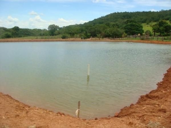 Criana de dois anos morre afogada aps cair dentro de tanque de peixes