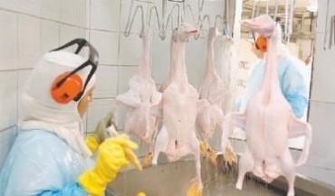 Agroindstria cresce, mas desempenho ainda  modesto, diz pesquisa da CNA