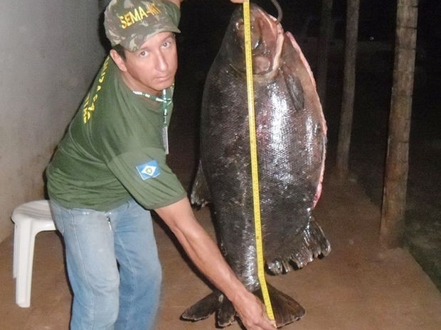 Pescador exibe peixe de 46 quilos