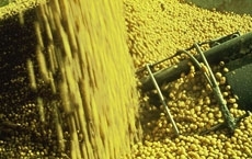 Gr�o foi respons�vel pelo embarque de 773 mil (t), que renderam US$ 305,9 mi 