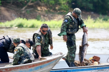 Volume de apreens�es nos �ltimos 4 anos chega a 66 toneladas no per�odo  