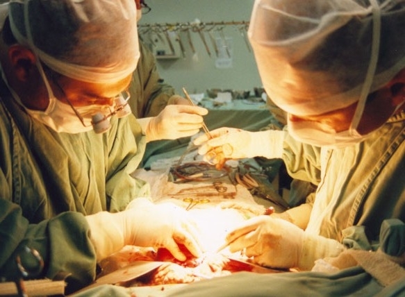 No Brasil, 60% so favorveis  doao de rgos