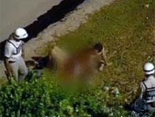 Polcia Militar flagra casal completamente nu em praia de Salvador (BA)