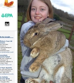 A pequena Ella McDonnell, de dez anos, vizinha de Pauline, faz levantamento de peso com o coelho