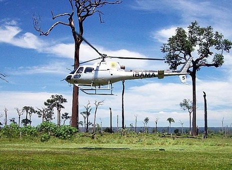Queda de 80% no desmate no Estado