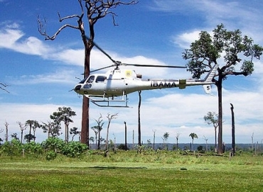 Queda de 80% no desmate no Estado