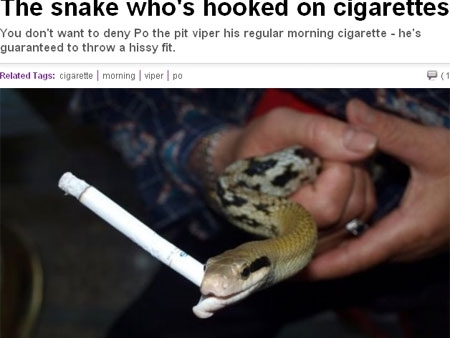 Ela aprecia um bom mata-rato. S no consegue acend-lo sozinha