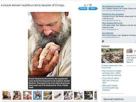 Hargreaves segura um dos animais que sobreviveram ao massacre realizado pelo vizinho na Nova Zel�ndia.