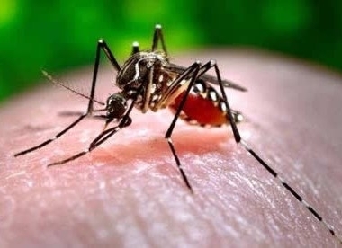 Morre menina de Sinop internada em UTI de Cuiabá com dengue