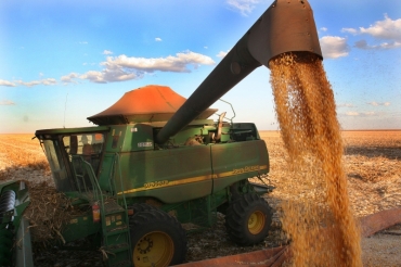 Mato Grosso registra alta nas vendas do ano passado 