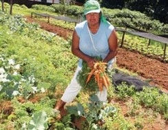 Mercado informal gera renda para muitos trabalhadores