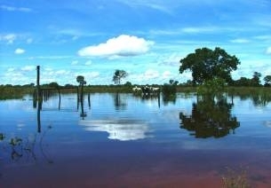 Centro, em Cuiab, ser instrumento de estudo e desenvolvimento cientfico do Pantanal 