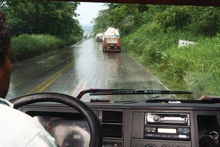 Matagal chega a ter 2 metros de altura em alguns pontos e apenas base  cortada