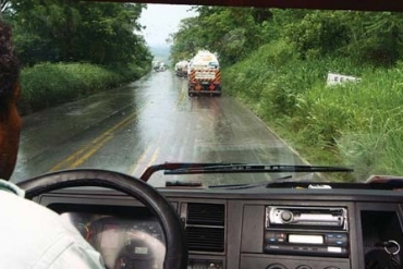 Matagal chega a ter 2 metros de altura em alguns pontos e apenas base  cortada