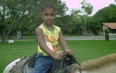 A criana residia no Jardim Imperial, onde o ndice de infestao predial por larvas do mosquito  de 4,6%, considerado 