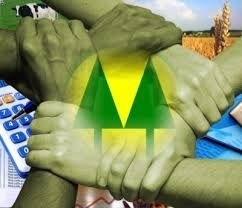 Dia Internacional do Cooperativismo foi celebrado em 6 de junho