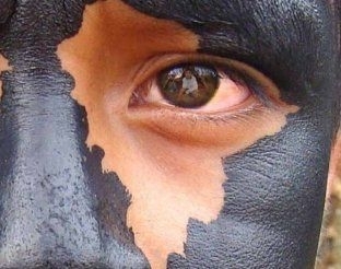 Houve aumento de 378 para 1.276 no nmero de vtimas