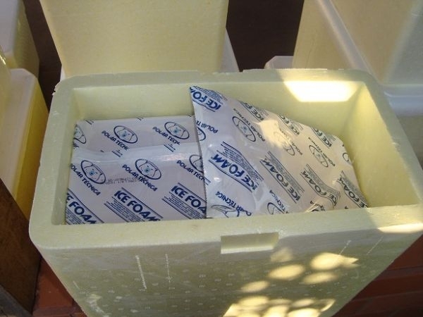 MT passa a contar com sistema que monitora v�rus da Peste Su�na Cl�ssica