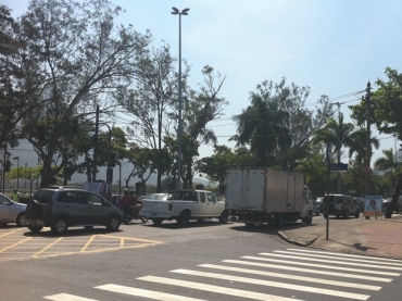 Estudo mostra que rvores urbanas ajudam na reduo da poluio da cidade e evitam mortes por doenas