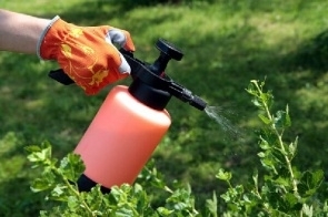 Pesticidas so usados em ambientes domsticos para controlar a infestao de insetos ou outras criaturas