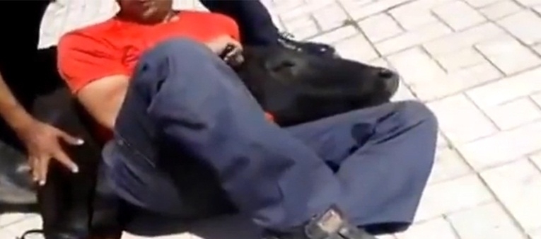 Pra ajudar na parada, o cara ainda estava usando uma camiseta VERMELHA!