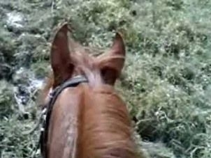 Homem teria cado do cavalo e se enroscado no lao