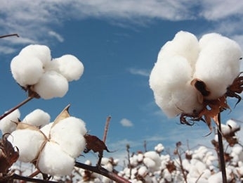 Aumento na produtividade foi de 4%